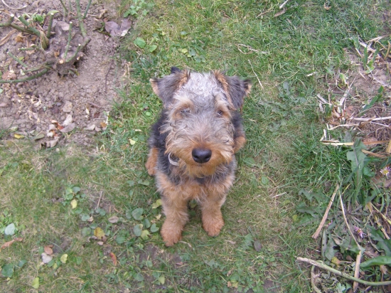 čo sa čumiš ? :-D