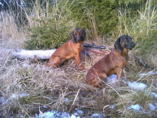 chovateľská stanica Kráľova hoľa- Bavorských Farbiarov