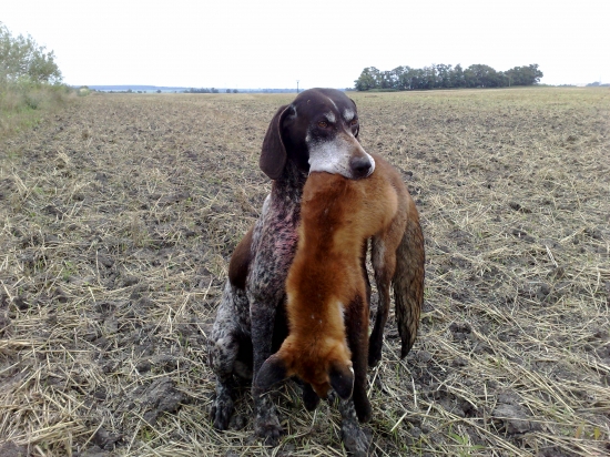 Yoro nesklamal je to pán.