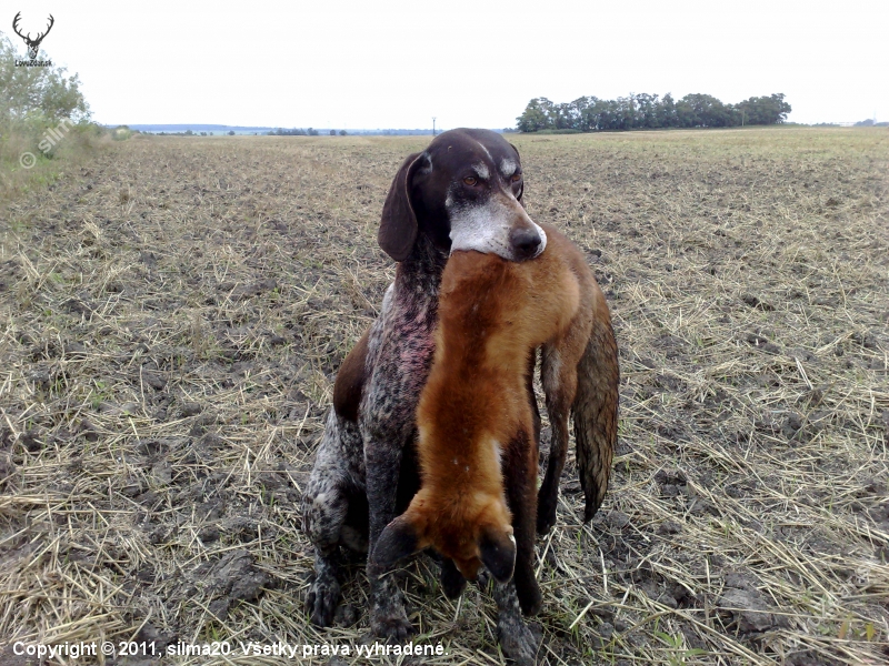 Yoro nesklamal je to pán.