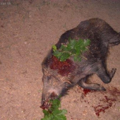 Nádherný zážitok