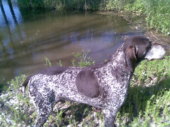 Ked je teplo treba sa ochladit