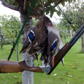 3. a 4. polovacka na kacky