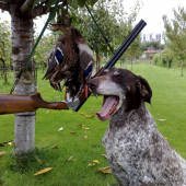 este jedna s Yorinom