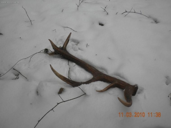 mojho oca prvy tochto roku 16-storak