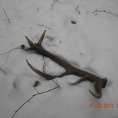 mojho oca prvy tochto roku 16-storak