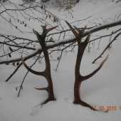 mno tu su us spolu druhi som nasiel 30 metrou dalej