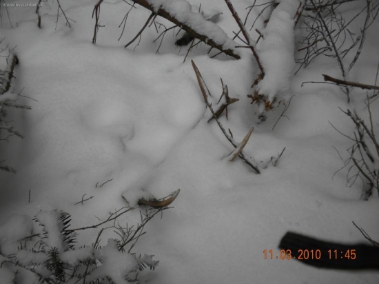 a tu je ten druhi co som nasiel ja