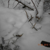 a tu je ten druhi co som nasiel ja