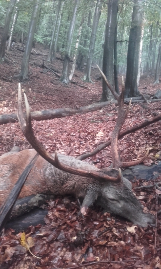 trofej najvzácnejšia....