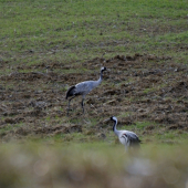 dobrý deň cestovatelia