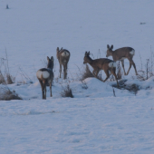 odchádzame kamošky
