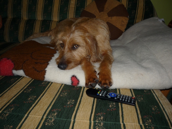 po sezóne je nuda ...