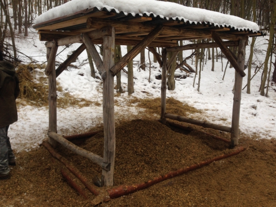 Stále im chutí, tak sme priviezli ďalšiu fúru :)