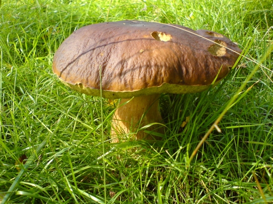 Zatiaľ môj najväčší 1