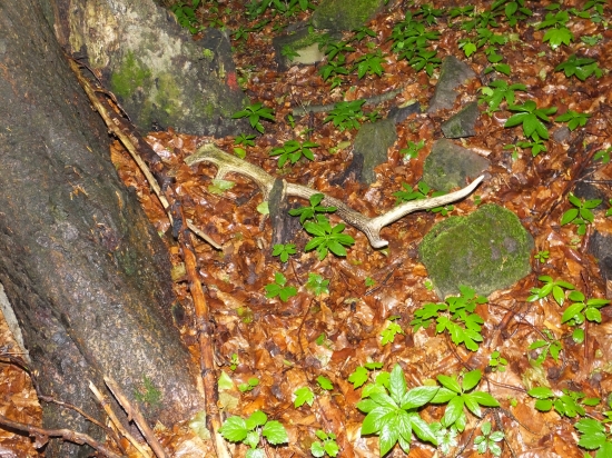 A  zase starý 10-torák