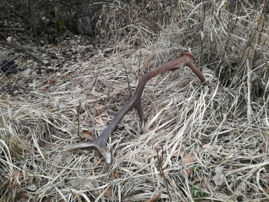 10-torák po dlhom čase