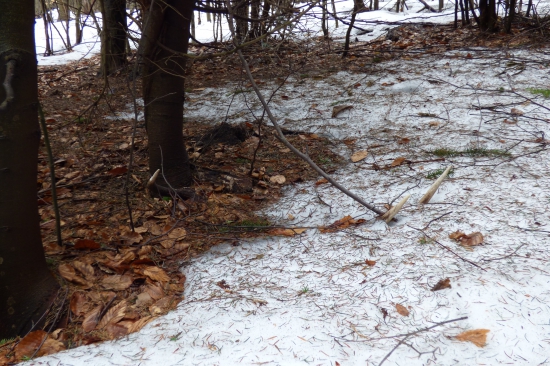 Pohľad na nezaplatenie