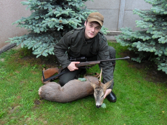 jednorožec v rannom daždi