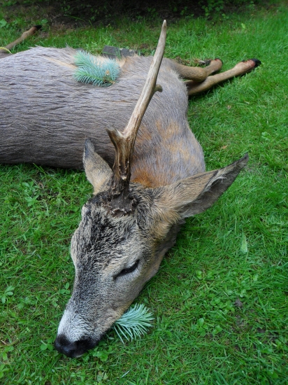 ešte jedna zo včera