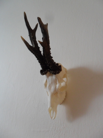 srnec s ID:209822 a 209773