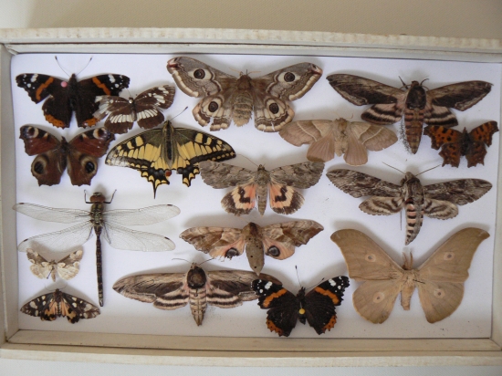 z niekdajšej mojej zbierky I