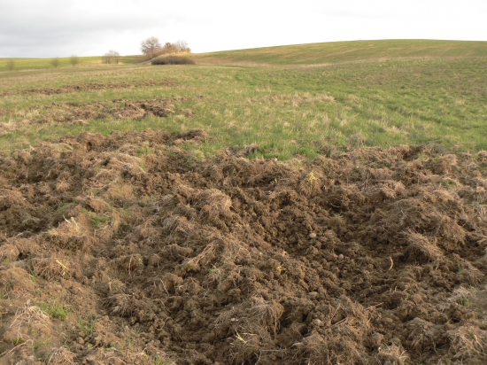 stopy po nezvanej návšteve
