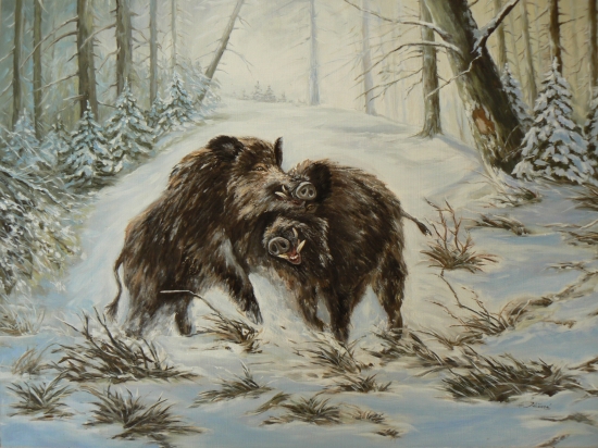 diviaky-olej, 50x70cm-repr.