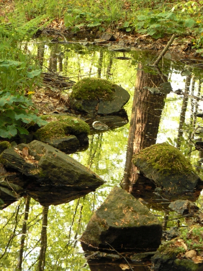 dokonalé zrkadlenie