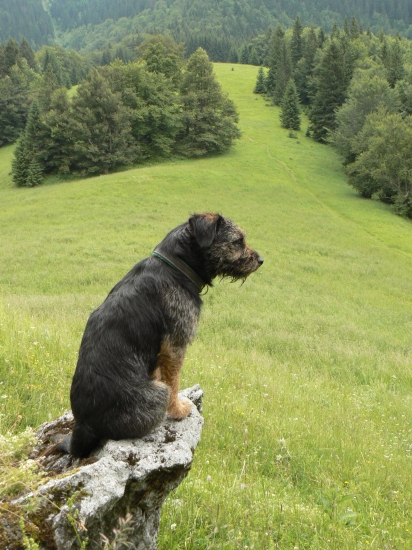 aj ja sa kochám krásnym výhľadom belianskej doliny