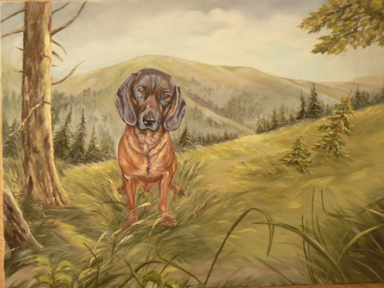 farbiar-olej 70x50cm