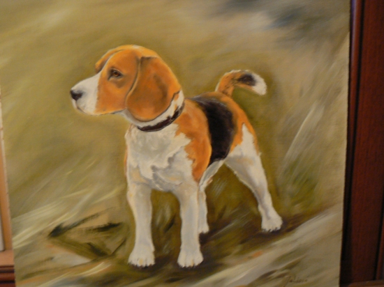 z archívu bígl-olej