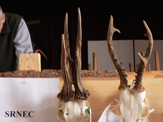 z niekd. chovatelskej-Košice