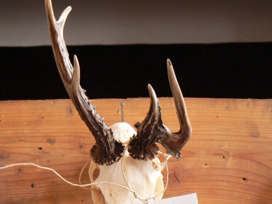 raritka z pol.výstavy KE-archív