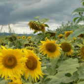 ....už sa blíži !