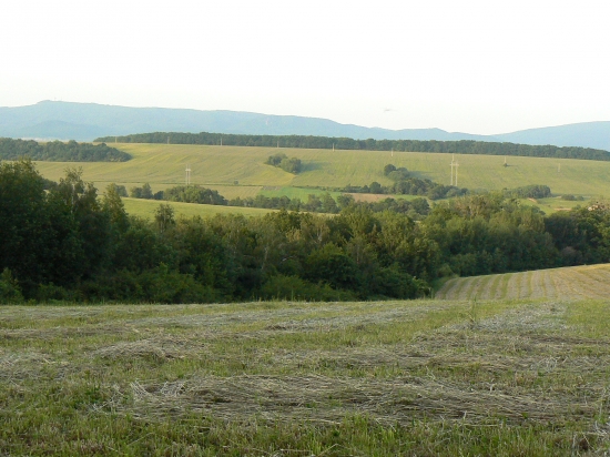 koniec leta