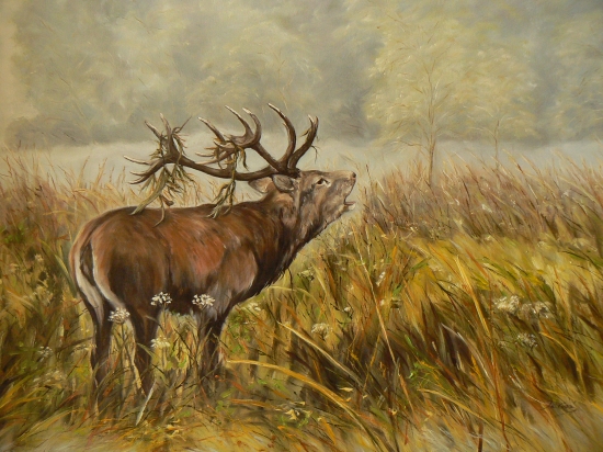 Pred oponou jelenej ruje  olej-70x50cm