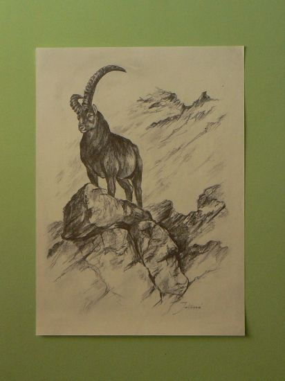 pozdrav z hôr /archívny záber /-ceruza A4