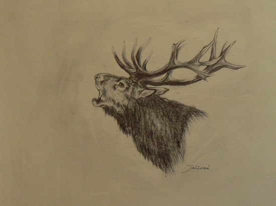 zaručal /archív/-ceruza