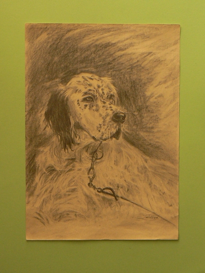 zabudnutá kresbička-ceruza