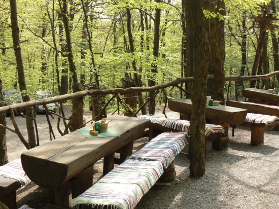 príjemné posedenie u lesa-Počúvadlo