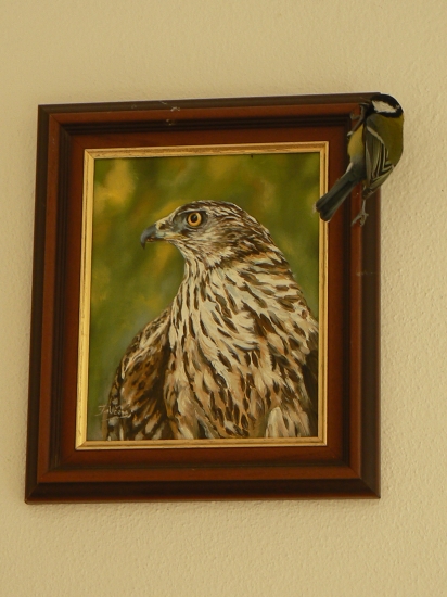 obdivovateľka umenia