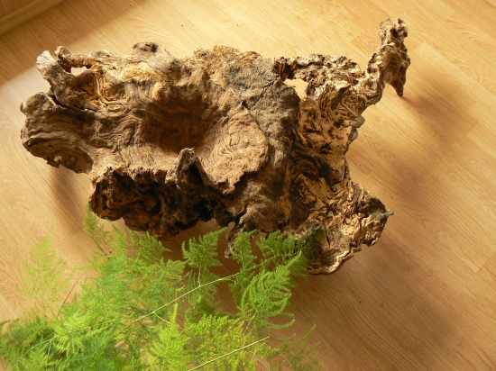 dekorácia mnohých podôb-I