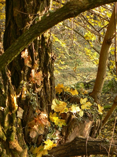 príroda-aranžér