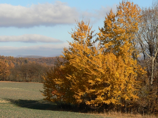 dokonalé vyfarbenie