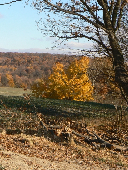 tohtoročná jeseň mi učarovala