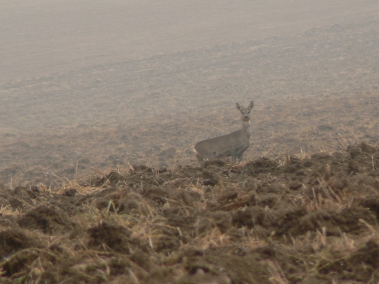 vďačím aj za takéto stretnutie