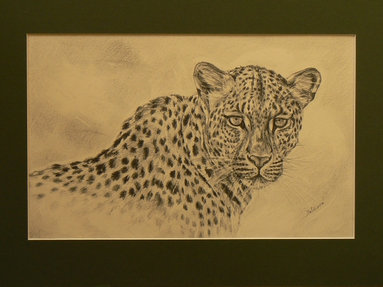 leopardia mačička-ceruza A3