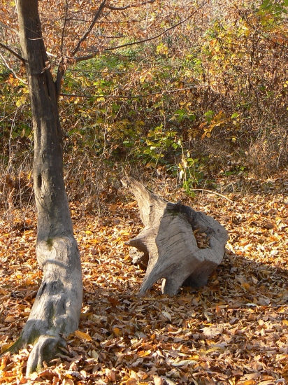 tuším tu sa niečo obtrelo...