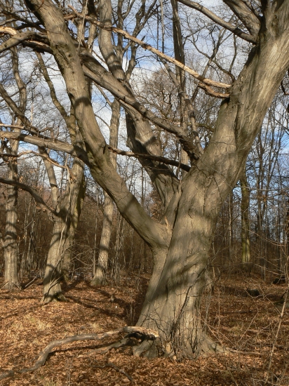 tu často zabúdam na čas návratu